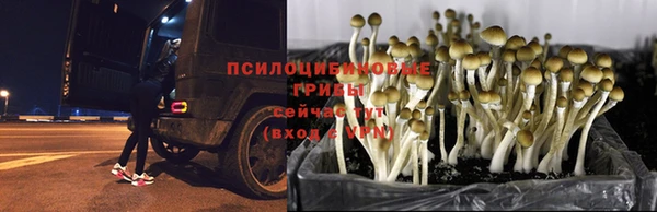 МДПВ Баксан