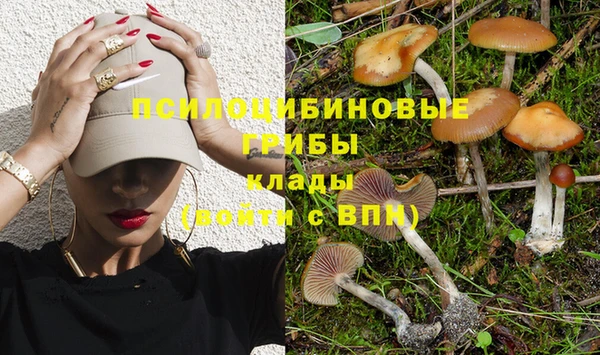 соль ск Балабаново