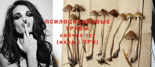 соль ск Балабаново
