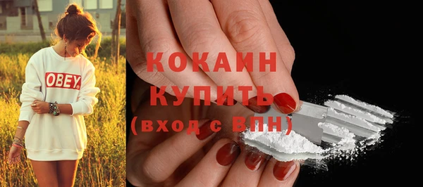 соль ск Балабаново